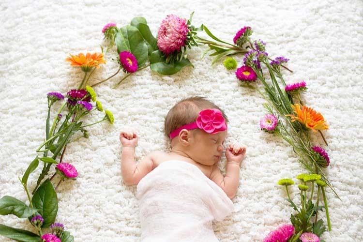 عکاسی - کادوس