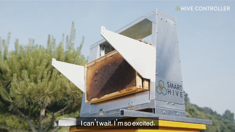 Daesung-Hive-Controller