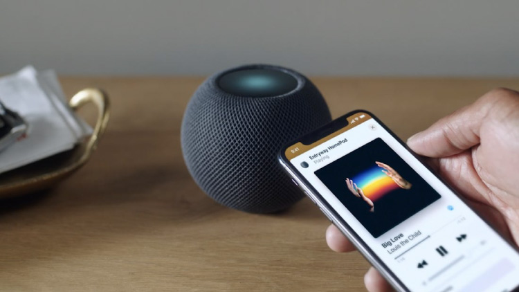 هوم پاد مینی اپل