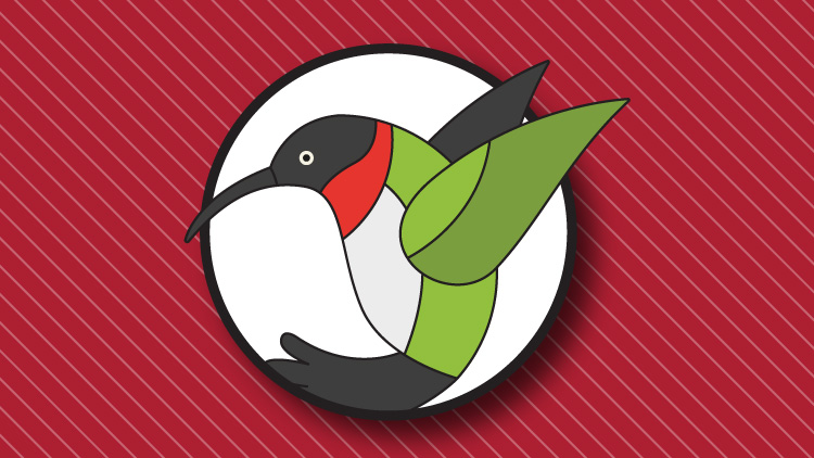 الگوریتم مرغ مگس خوار