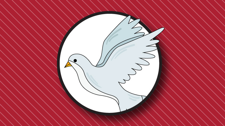 الگویتم کبوتر