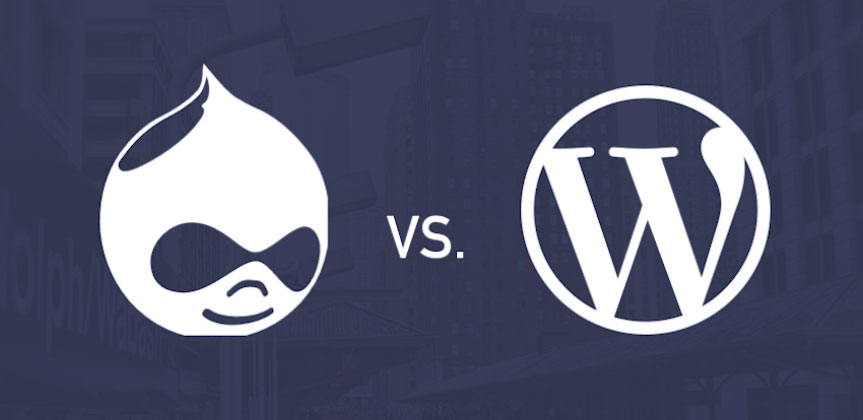 وردپرس